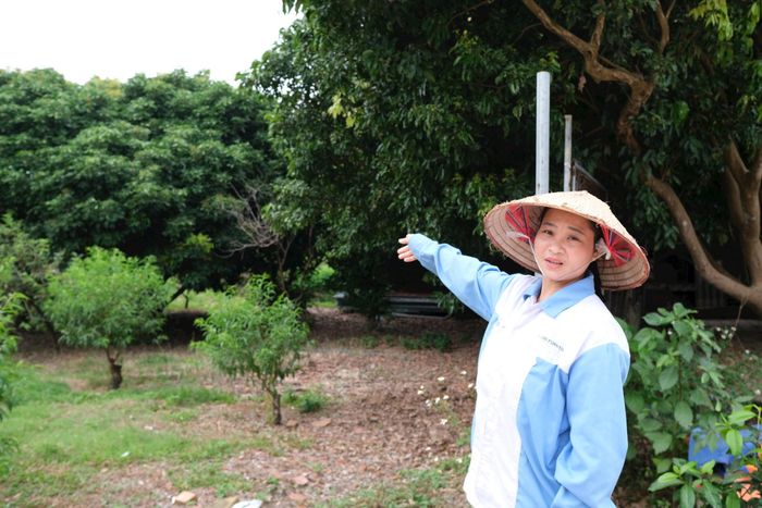 Chị Trần Thị Tuyết thôn Phú Sơn trao đổi một số thông tin liên quan đến dự án. Ảnh: Sỹ Hào
