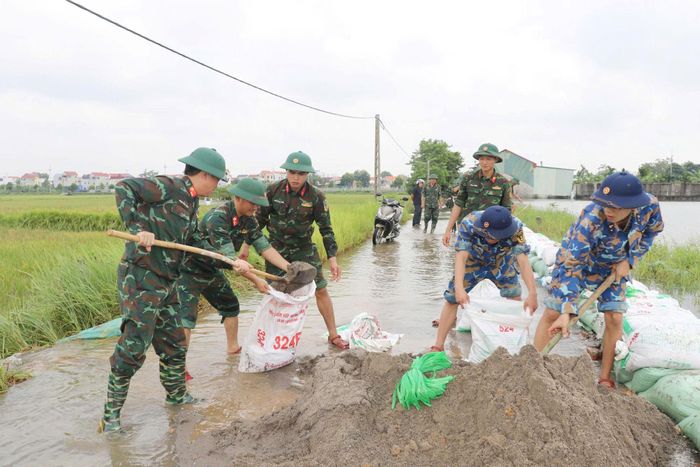 Sáng 18-9, xã Trần Phú tiếp tục huy động lực lượng chống tràn đê hữu Bùi bảo vệ sản xuất nông nghiệp, khu dân cư. Ảnh: Hồng Đào