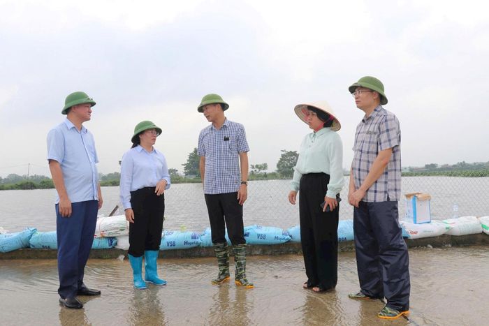 Lãnh đạo Hội Nông dân thành phố Hà Nội và xã Trần Phú kiểm tra, chỉ đạo triển khai phương án bảo vệ và khôi phục sản xuất nông nghiệp sau mưa lũ. Ảnh: Hồng Đào