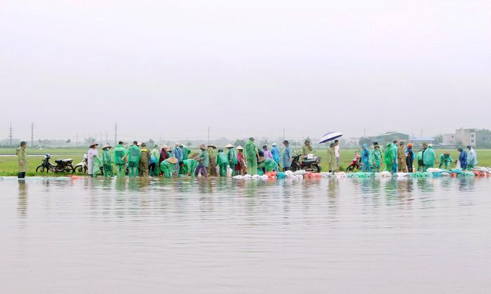 600m bờ kênh Quán Quốc tiếp tục được gia cố bảo vệ gần 200ha lúa mùa sắp đến kỳ thu hoạch. Ảnh: Nguyễn Thà