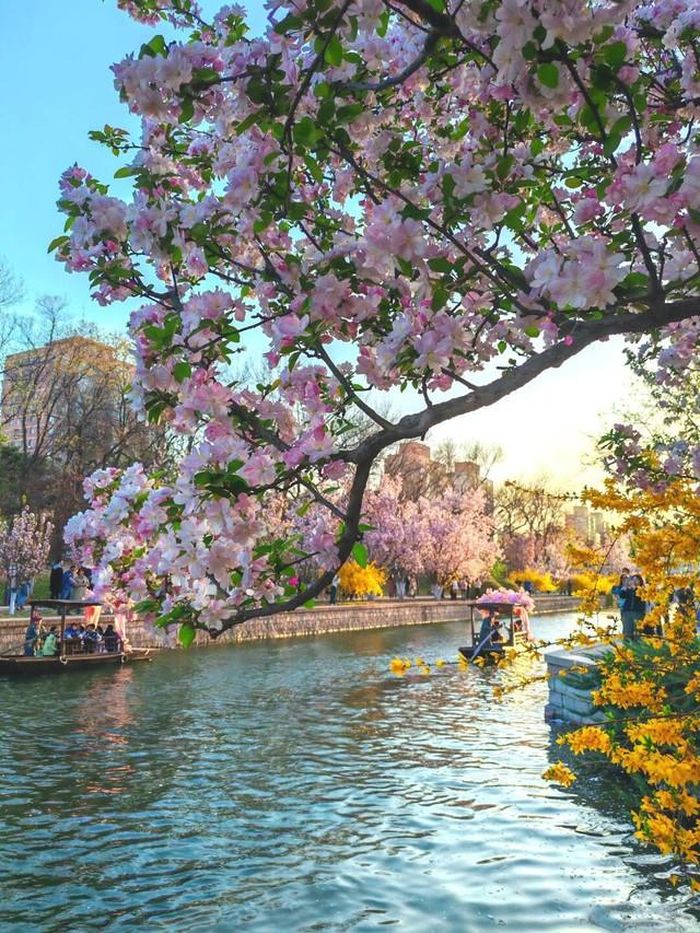 Ngay từ nhỏ, người sinh ngày 22 và 25 Âm lịch thường được cho là có tinh thần cầu tiến, không muốn cuộc sống dừng lại ở mức bình thường. Ảnh minh họa