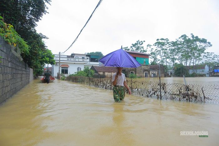 Đường làng ngập trong nước. Ảnh: T.Anh