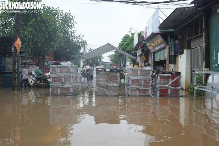 Theo UBND xã Hưng Đạo, cầu Đại Thành kết cấu cầu đã suy yếu, có nguy cơ sập đổ hoặc trôi trượt dưới áp lực dòng chảy lớn. Qua kiểm tra rà soát thực tế tình hình mưa lớn kéo dài, mực nước trên khu vực cầu Đại Thành dâng cao, dòng chảy mạnh, tiềm ẩn nguy cơ mất an toàn giao thông nghiêm trọng cho người và phương tiện khi lưu thông qua cầu.