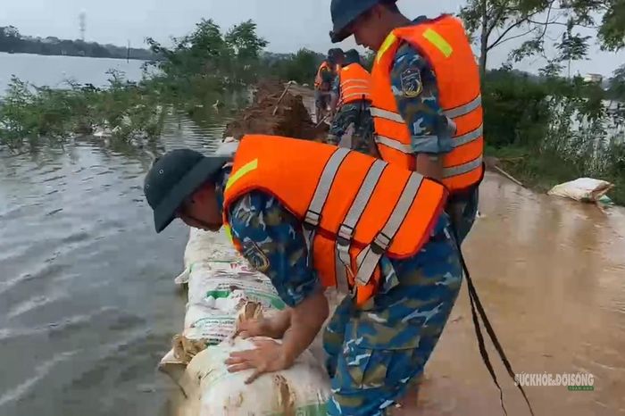Công việc gia cố đê được triển khai liên tục giữa khu vực nước dâng cao. Ảnh: H. Thuần