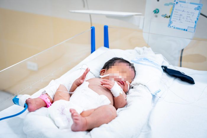 Nhiều chính sách khuyến sinh mới đang lần lượt được triển khai tại Việt Nam. Ảnh: Trần Hiền.