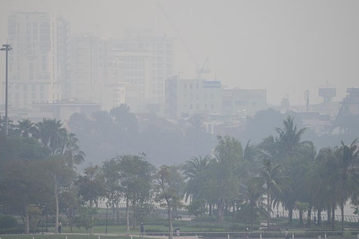  Không gian dọc sông Sài Gòn trở nên khác thường khi mặt nước, cây xanh và các công trình phía xa cùng bị phủ bởi lớp không khí trắng đục. Những ngày bình thường, đường chân trời phía bên kia sông có thể quan sát khá rõ từ nhiều vị trí trong thành phố. 