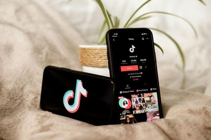 Các nền tảng mạng xã hội như BookTok đã đưa giới trẻ đến gần hơn thế giới sách. Ảnh: The Wordling.
