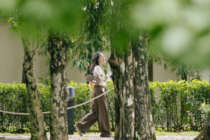 Bước qua cánh cổng chính, không gian ồn ào của đô thị lập tức nhường chỗ cho bầu không khí mát lành của khu vườn cổ thụ. Mảng xanh tại đây ghi dấu sự giao thoa văn hóa Việt - Pháp khi quanh khu vườn là những loài cây cỏ gần gũi của làng quê Việt Nam.