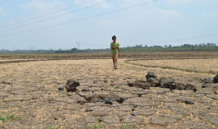 Ảnh hưởng của El Niño rất mạnh đang hình thành trên Thái Bình Dương dự kiến đạt đỉnh vào cuối năm 2026 và kéo dài sang năm 2027 nguy cơ xô đổ các kỷ lục lịch sử và gây ra thời tiết cực đoan trên toàn cầu. 