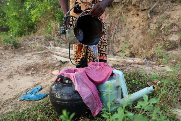 Hạn hán ở huyện Ampara (Sri Lanka) ngày 27/8. Ảnh: Reuters.