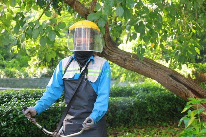 Công nhân phát quang bụi rậm, góp phần chỉnh trang cảnh quan đô thị