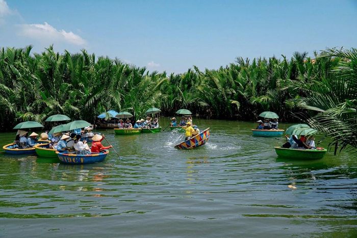 Khám phá rừng dừa nước Bảy Mẫu, Cẩm Thanh