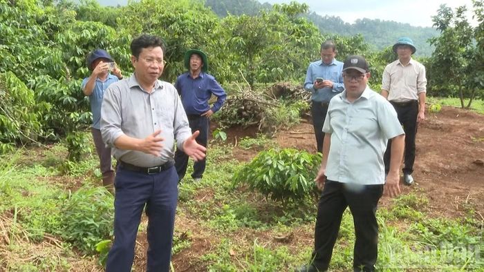 Đoàn công tác kiểm tra thực tế tại hiện trường sụt lún, nứt đất thôn Đắk Snao, xã Quảng Sơn.