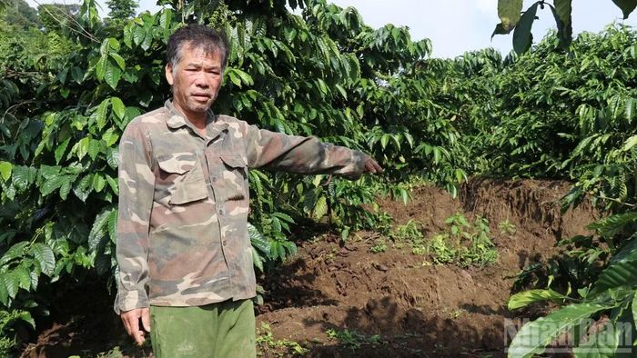 Diễn biến của sụt lún, nứt đất tại thôn Đắk Snao ngày càng phức tạp, có nguy cơ mở rộng khu vực lân cận.