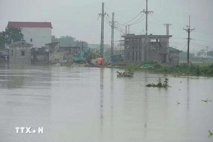 Nước sông Bùi dâng cao.