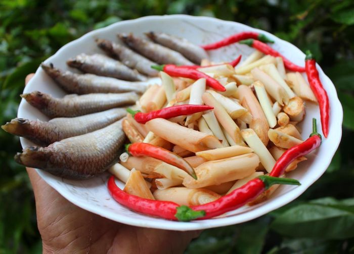 Nguyên liệu chính là cá suối và ruột riềng để nấu canh của người Cơ Tu vùng cao.