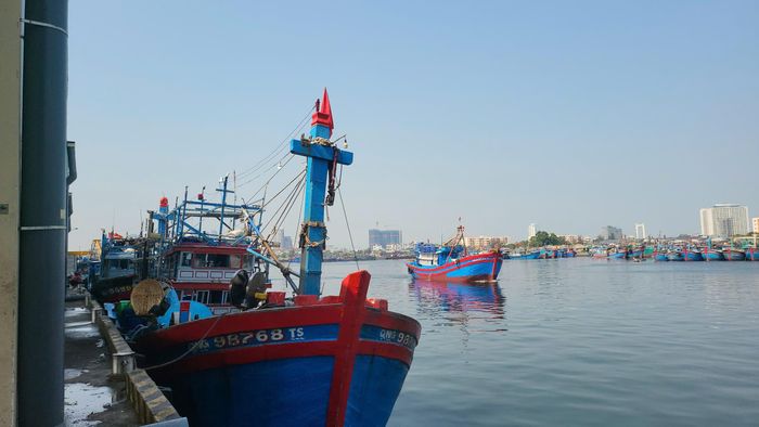  Tàu thuyền neo đậu tại cảng, chuẩn bị cho các chuyến vươn khơi đánh bắt hải sản. Ảnh: XUÂN QUỲNH 