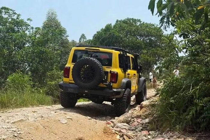 Phiên bản này dựa trên Tank 300L được cập nhật với trục trước được định vị lại, dẫn đến chiều dài cơ sở dài hơn 3.010mm và phần nhô ra phía trước ngắn hơn. Được đặt tên theo một địa điểm off-road nổi tiếng ở dãy núi Helan của Trung Quốc, gần biên giới giữa Ninh Hạ và Nội Mông, Tank 300 Hooke Trail rõ ràng hướng tới cạnh tranh với Jeep Wrangler Rubicon.