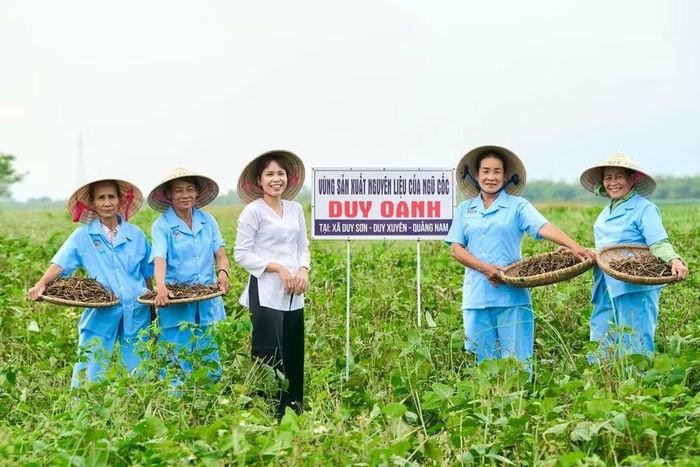 HTX Ngũ cốc Duy Oanh (TP Đà Nẵng) áp dụng mô hình người dân học nghề ngay tại cánh đồng của HTX. Ảnh: NVCC
