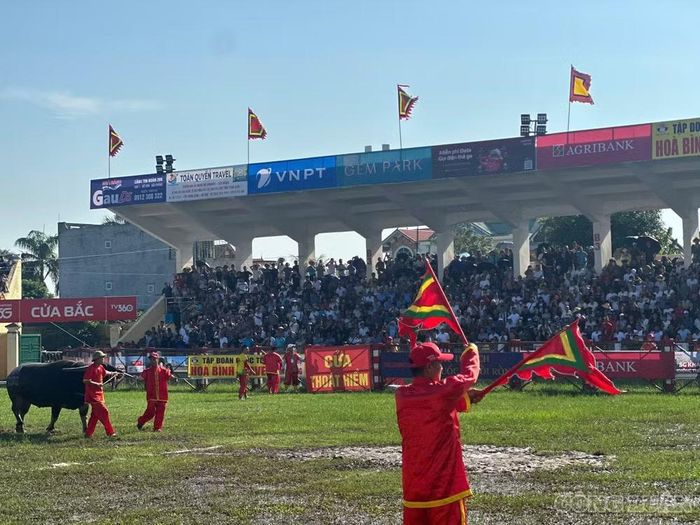  Ban điều hành và trọng tài trong trang phục cờ đỏ truyền thống phất cờ hiệu đưa "Ông trâu" vào sân thi đấu. 