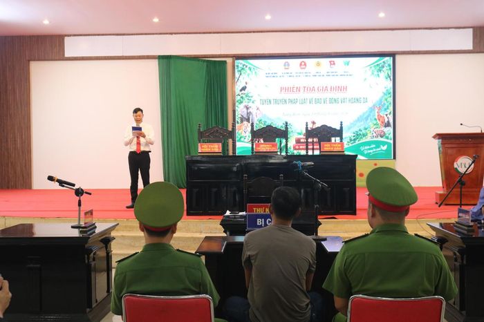Toàn cảnh phiên toà giả định. Ảnh: Tiến Dũng.