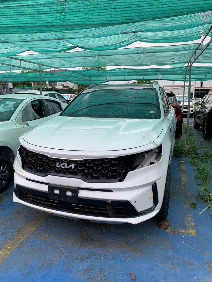 Xe BMW 520i và Kia Sorento thuộc lô 7 chiếc ô tô ngập nước tĩnh được đưa ra đấu giá. Ảnh: Lạc Việt