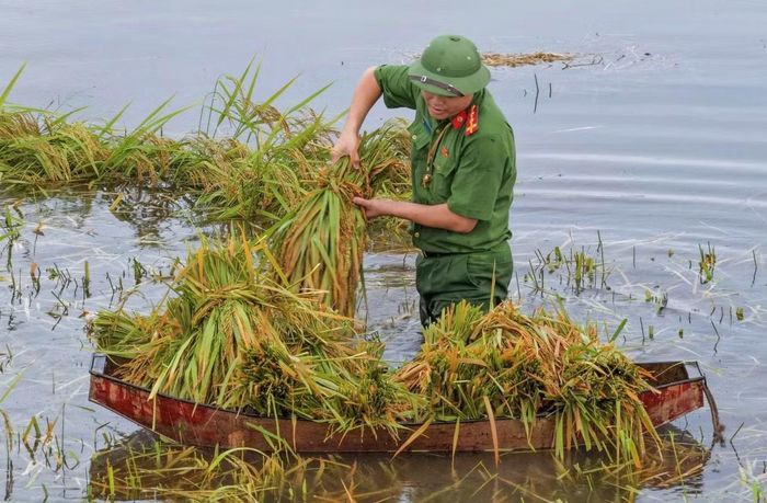 Cùng với việc giúp dân thu hoạch mùa màng, công an các xã trên địa bàn tỉnh Thanh Hóa duy trì lực lượng trực, theo dõi chặt chẽ diễn biến mưa lũ; rà soát các khu vực có nguy cơ ngập úng, sạt lở để kịp thời cảnh báo, hướng dẫn người dân chủ động bảo đảm an toàn tính mạng và tài sản.