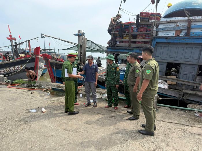 TP Huế hiện có khoảng 1.000 tàu thuyền đánh cá.