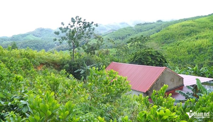 12 hộ dân dưới chân đồi được di dời khẩn cấp. Ảnh: Lê Dương