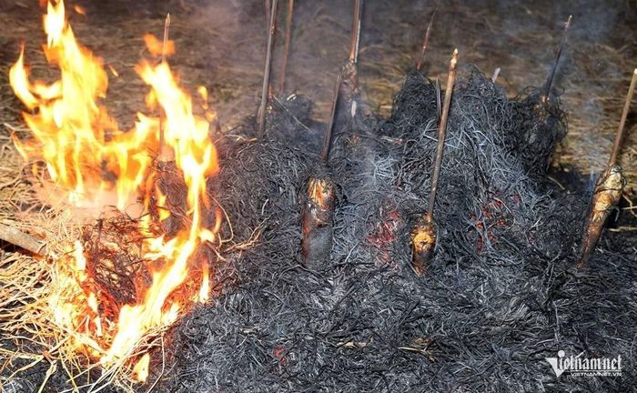 Cá vừa bắt được nướng tại rừng U Minh Hạ. Ảnh: Tào Đạt
