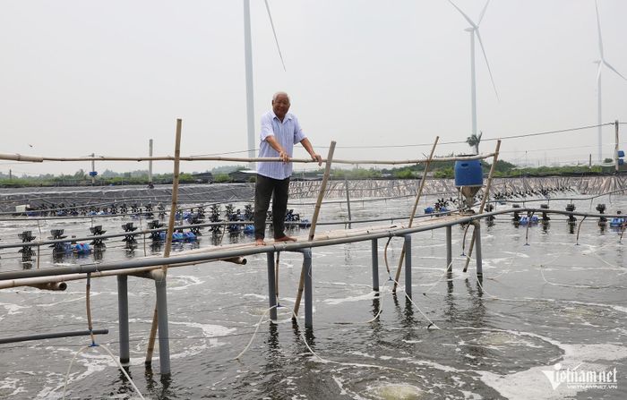 Ông Tăng Văn Xúa bên những ao tôm mang lại nguồn thu tiền tỷ mỗi năm.