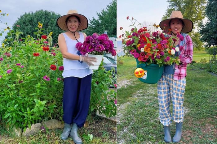 Trong vườn, chị còn trồng thêm một số loại hoa tươi