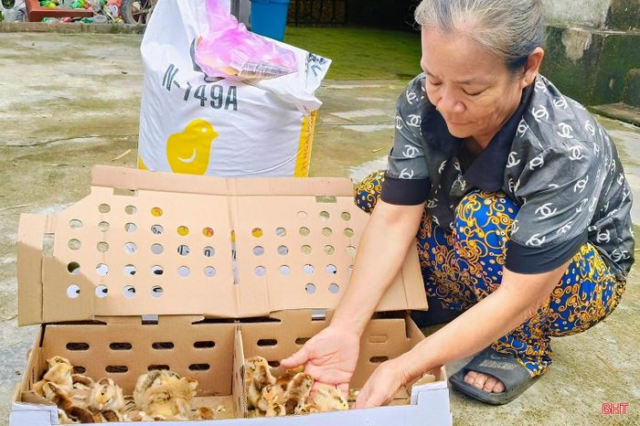 Xã Tứ Mỹ tập trung huy động nguồn lực hỗ trợ nhà ở, mô hình sinh kế để tạo thêm điểm tựa bền vững cho người nghèo vươn lên trong cuộc sống.