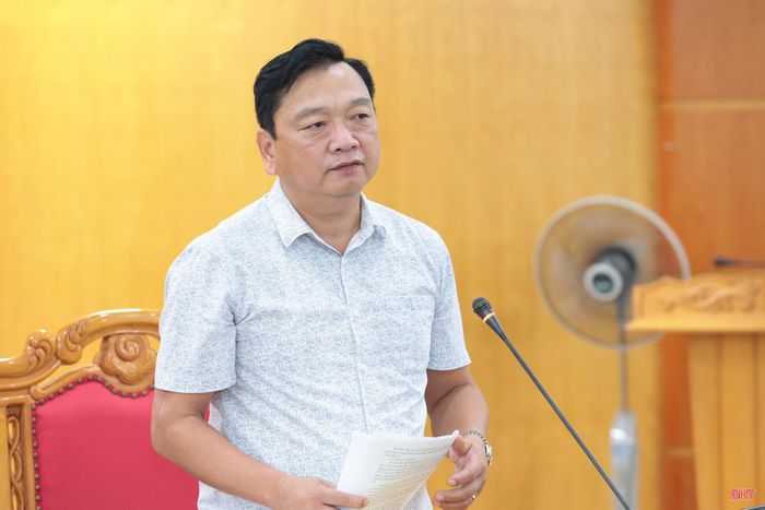 Đồng chí Hồ Huy Thành - Phó Chủ tịch UBND tỉnh, Phó trưởng Ban Chỉ huy Phòng thủ dân sự tỉnh phát biểu tại cuộc làm việc.