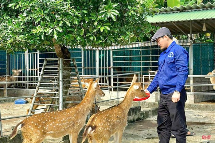Anh Nguyễn Khắc Huân - Giám đốc Công ty Cổ phần Sản xuất và Thương mại Nhung Hươu Việt.