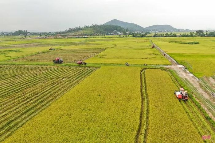Những cánh đồng sau tập trung, chuyển đổi ruộng đất có hệ thống hạ tầng đồng bộ là tiền đề để người dân ứng dụng các tiến bộ khoa học kỹ thuật mới vào sản xuất.