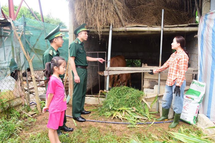 BĐBP Hòa Hải hỗ trợ bò sinh kế, ngày công làm nhà, tiếp thêm động lực cho chị Trần Thị Mỹ ở thôn Minh Hòa (xã Hương Bình) thoát nghèo.