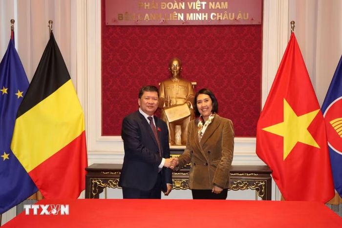 Phó Chủ nhiệm Ủy ban Văn hóa và Xã hội của Quốc hội Tạ Văn Hạ và Đại sứ Việt Nam tại Vương quốc Bỉ, Trưởng Phái đoàn Việt Nam bên cạnh Liên minh châu Âu Nguyễn Hương Trà. (Ảnh: Anh Tùng/TTXVN)