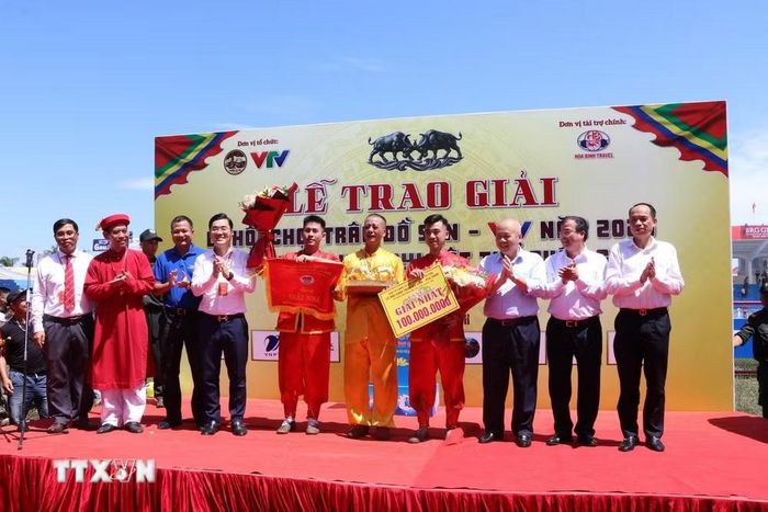 Lãnh đạo thành phố Hải Phòng trao giải Nhất cho chủ trâu số 15. (Ảnh: Mạnh Minh/TTXVN)