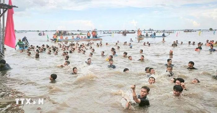 Trò chơi dân gian "bịt mắt bắt vịt dưới đồng nước nổi" thu hút đông đảo người dân và du khách tham gia, tạo nên không khí sống động cho ngày hội. (Ảnh: Công Mạo/TTXVN)