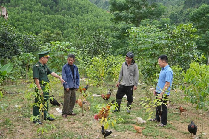 Từ nguồn hỗ trợ, nhiều hộ đồng bào Chứt đã có thêm cây trồng, vật nuôi để phát triển sản xuất.