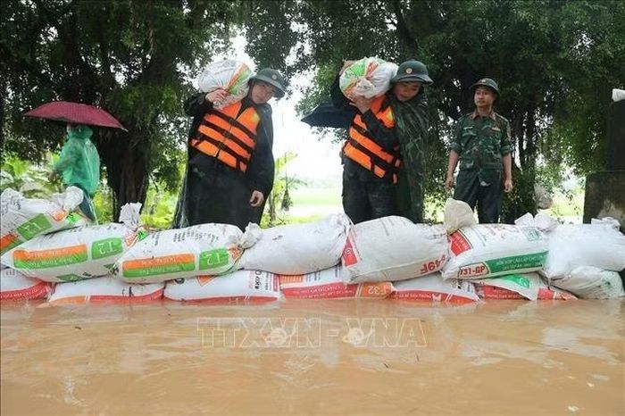Cán bộ, chiến sĩ Trung đoàn 12, Sư đoàn 308 hỗ trợ đắp đê khu vực thôn Ninh Kiều (xã Quảng Bị), ngày 17/9. Ảnh: Minh Quyết/TTXVN