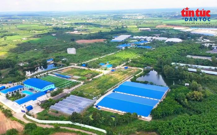 Doanh nghiệp hướng tới mô hình sản xuất xanh, gắn hiệu quả sản xuất với bảo vệ môi trường.
