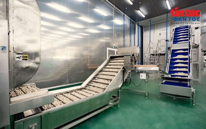 Chuyển đổi xanh hướng đến tối ưu hóa vận hành, tiết kiệm tài nguyên và giảm tác động môi trường trong sản xuất.