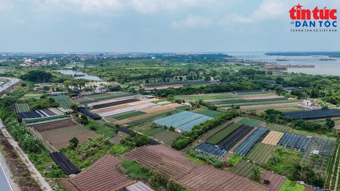Hiện trạng Trục Đại lộ cảnh quan sông Hồng với phần lớn là diện tích đất nông nghiệp.