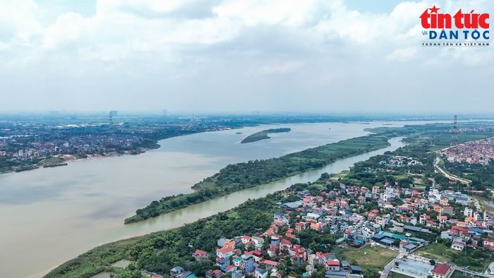 Tất cả bãi giữa sông Hồng đoạn qua Hà Nội hiện nay chỉ được trồng cây hoa màu.