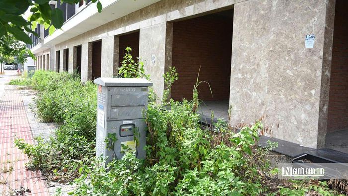 Tại một số dãy nhà, cỏ dại mọc cao quá đầu gối, che lấp phần sân và lối đi. Cảnh quan khu vực vì thế trở nên nhếch nhác dù nhiều căn nhà đã được xây dựng khá hoàn chỉnh.