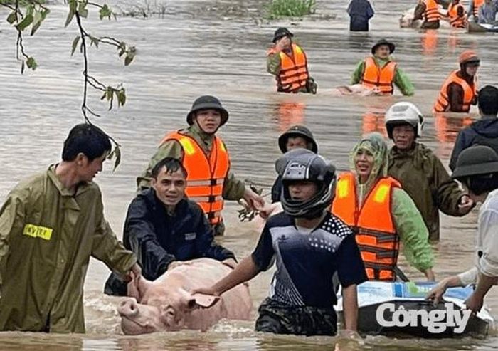 Khánh Hòa sẵn sàng ứng phó thiên tai.