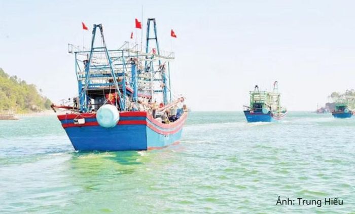 Tỉnh Nghệ An có 2.647 tàu cá từ 6m trở lên thuộc diện đăng ký