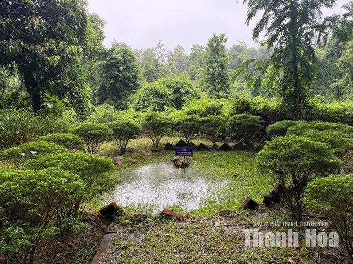 Vị trí cây lim “hiến thân” gắn với câu chuyện được nhiều du khách nhắc đến khi tìm hiểu về Lam Kinh.